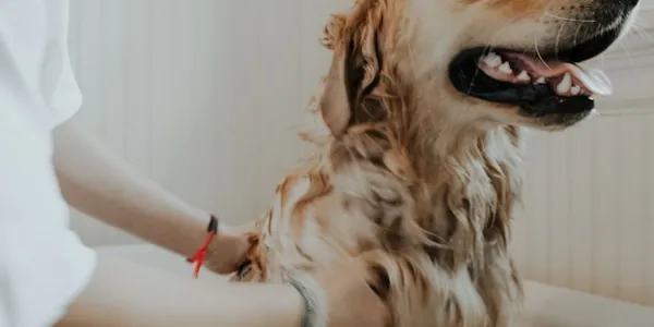 Bath & Home