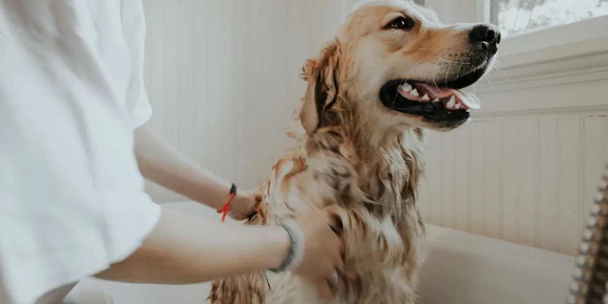Grooming