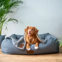 FURminator vs Undercoat Rake: Which One Actually Stops the Shedding?