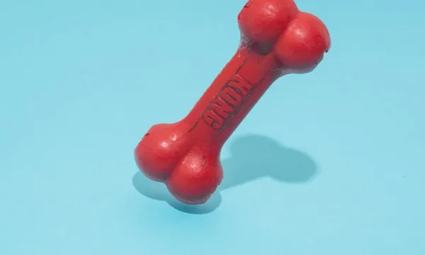 7 'Indestructible' Dog Toys — Tested by Rex, My German Shepherd Who Destroys Everything