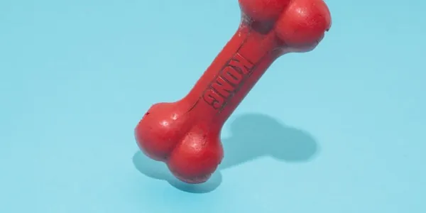 Toys That Actually Last