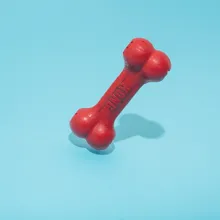 Kong Extreme vs West Paw Hurley: Which Tough Dog Toy Actually Survives Rex?